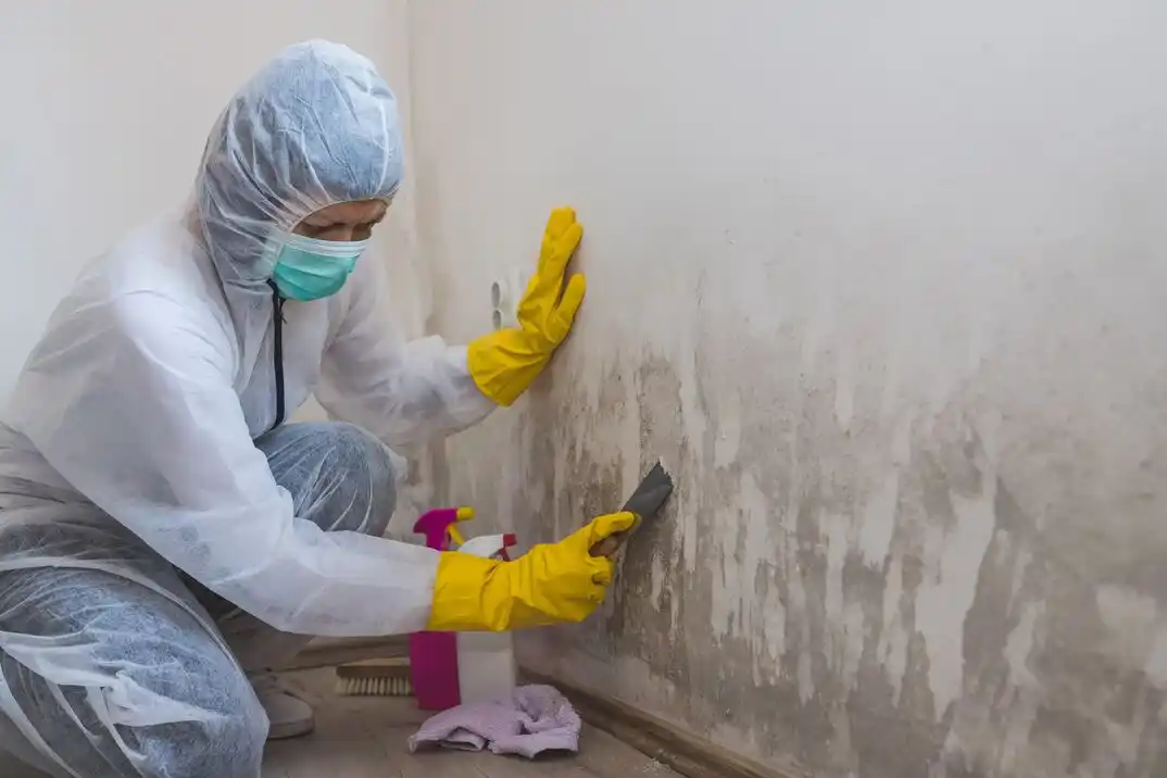 water damage restoration service Saddlebrook